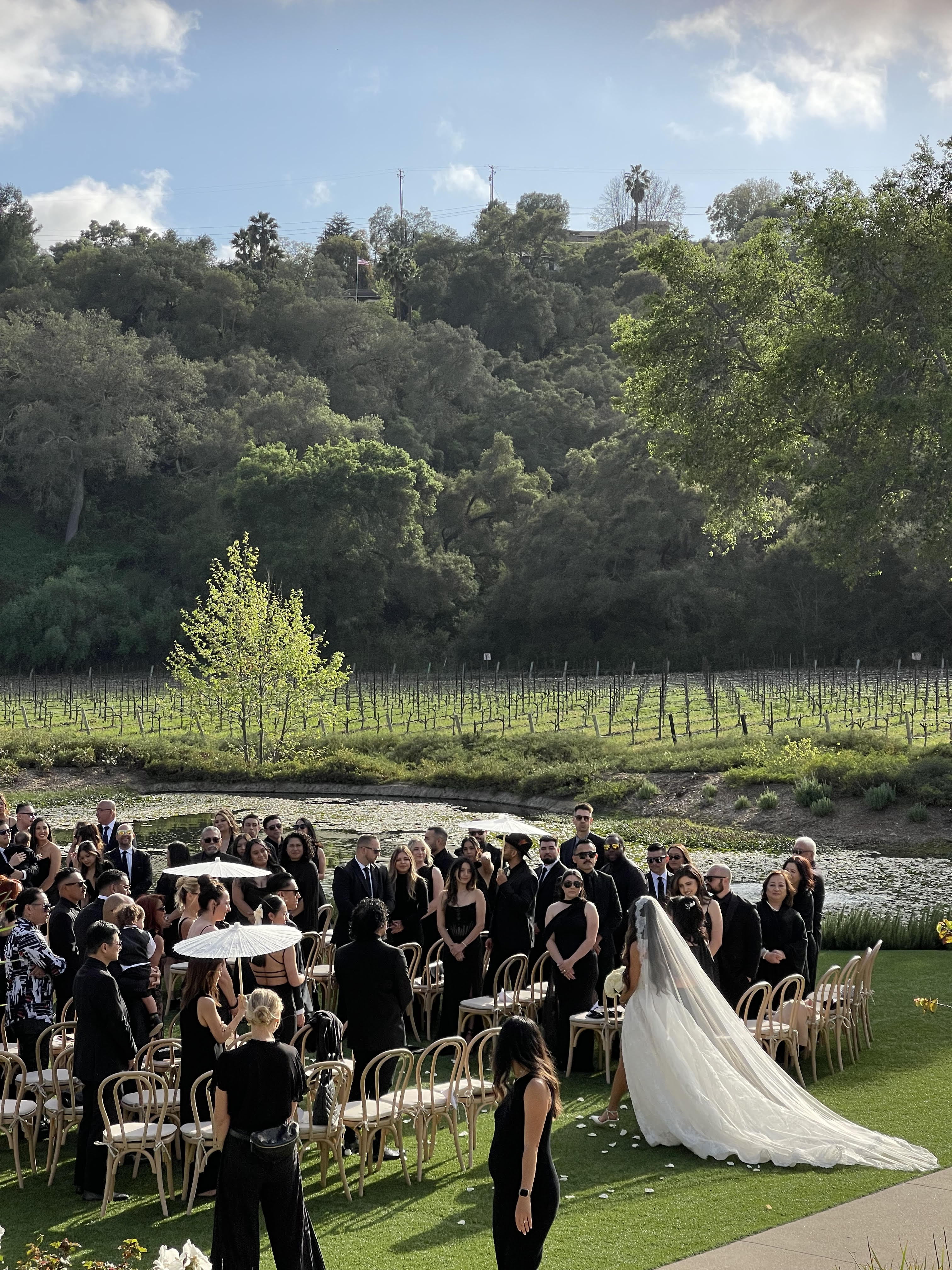 Bride walking down the aisle at an outdoor vineyard wedding ceremony